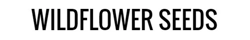 Wildflower Seeds Shop