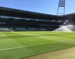 EuroGrass Pro Pitch Grass Seed
