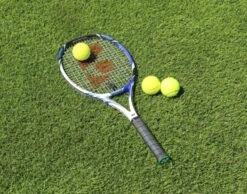 EuroGrass Pro Summer Sport Grass Seed