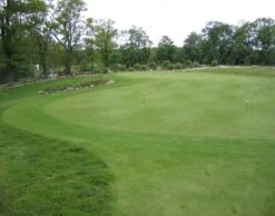 EuroGrass Pro Rye Greens Grass Seed
