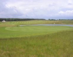 EuroGrass Pro Fescue Grass Seed