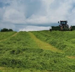 BS Arable Silage Mixture 3