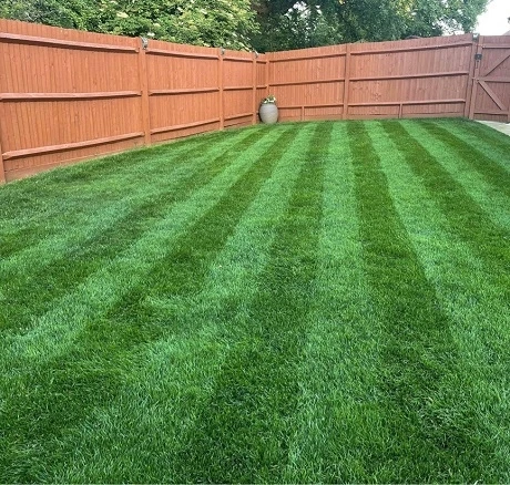 KissMyGrass Autumn & Winter Lawn Fertiliser 6.5.10 + Fe + Mg - Image 2