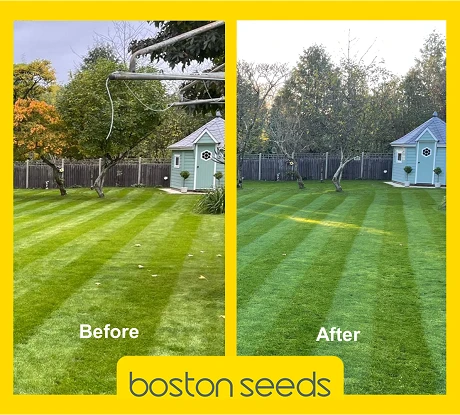 KissMyGrass Autumn & Winter Lawn Fertiliser 6.5.10 + Fe + Mg