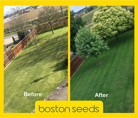 KissMyGrass Weed, Feed & Moss Killer