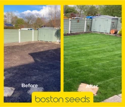 KissMyGrass Pre-seeding Lawn And Sportsfield Fertiliser 6.9.6