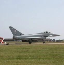 BS Bird Strike Grass Seed