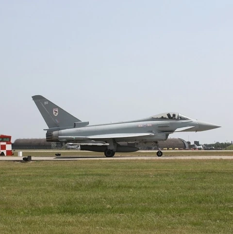 BS Bird Strike Grass Seed