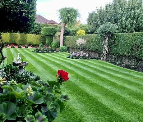 BS Bowling & Putting Green Grass Seed - Image 2