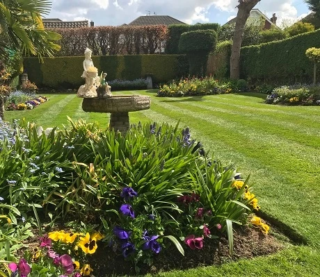 BS Bowling & Putting Green Grass Seed - Image 3