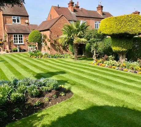 BS Bowling & Putting Green Grass Seed - Image 4