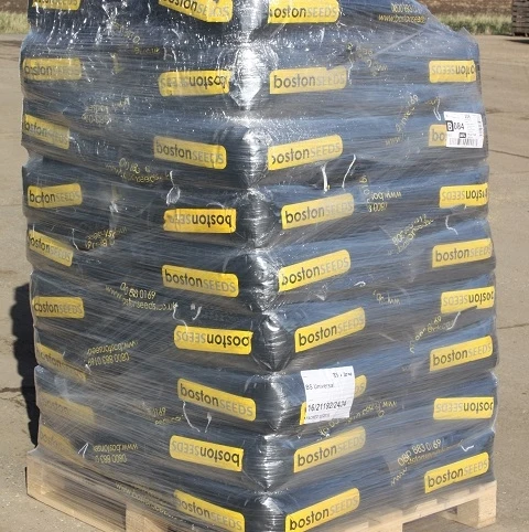 Shade Tolerant Grass Seed