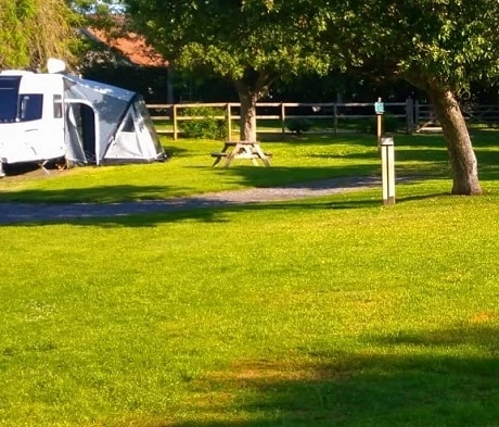 BS Caravan Park Grass Seed
