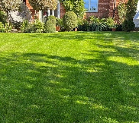 KissMyGrass Spring & Summer Lawn And Sportsfield Fertiliser 11.5.5 - Image 2