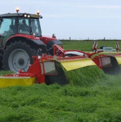 BS Cutter Plus - 3-4 Yrs Ley Mixture