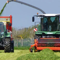 BS Sprinter - 1 Year Ley Mixture