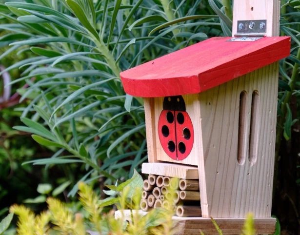 Ladybird & Insect Lodge