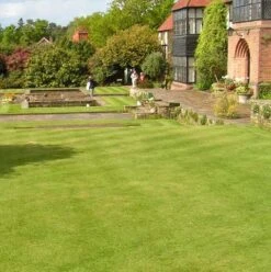 BS Slow Grow And Wildflower Companion Grass Seed