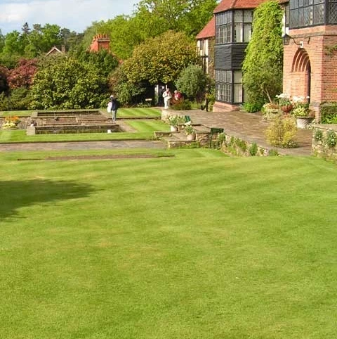 BS Slow Grow And Wildflower Companion Grass Seed