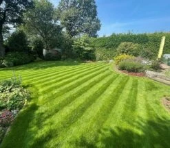 BS Premier Lawn Grass Seed