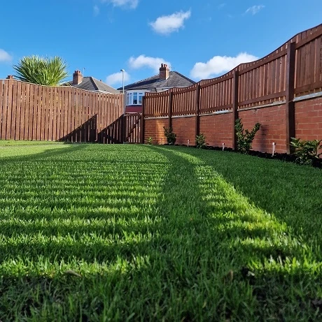 KissMyGrass Autumn & Winter Lawn Fertiliser 6.5.10 + Fe + Mg - Image 4