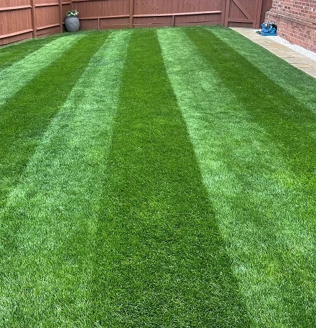 KissMyGrass Slow Release Lawn Fertiliser 20.6.8 (6 Month) - Image 3