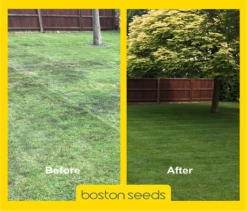 KissMyGrass Lawn Revivor And Moss Destroyer