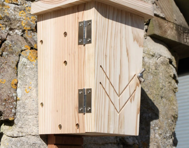 Original Bat Box - Image 2