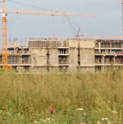 BS Fertility Building Pioneer Seed Mixture