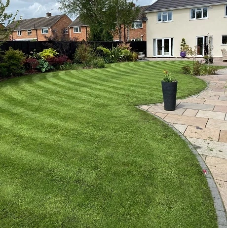 BS Quality Fine Lawn Seed - Image 6