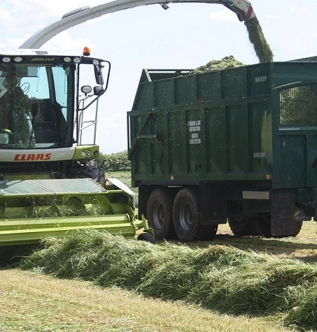 BS Silage & Haylage - 1-2 Yrs Ley Mixture - Image 3