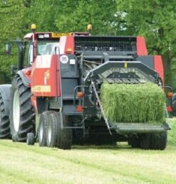 BS Cutter - 2-3 Yrs Ley Mixture