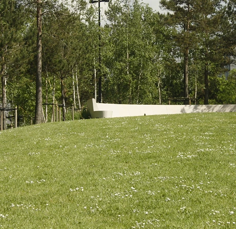 Species Rich Lawn Turf® - Image 2