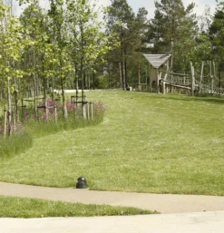 Species Rich Lawn Turf®