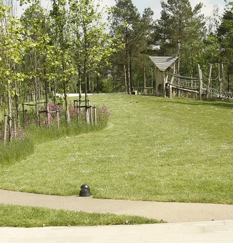 Species Rich Lawn Turf®