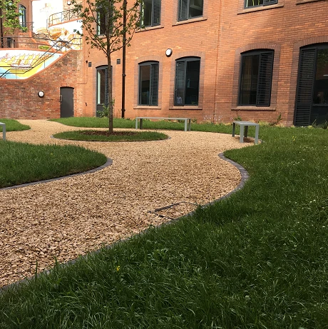 Species Rich Lawn Turf® - Image 3