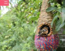 Tahera - Artisan Bird Nester