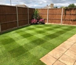 BS Renovator - Lawn Repair Grass Seed