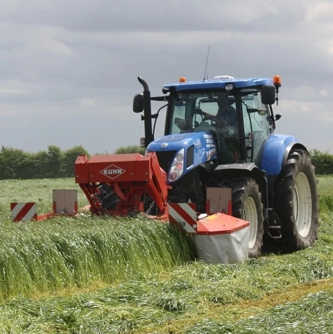 BS Westerwolds Ryegrass Seed - 1-2 Yrs Ley Mixture - Image 2