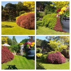 KissMyGrass Year Round Lawn Fertiliser Package