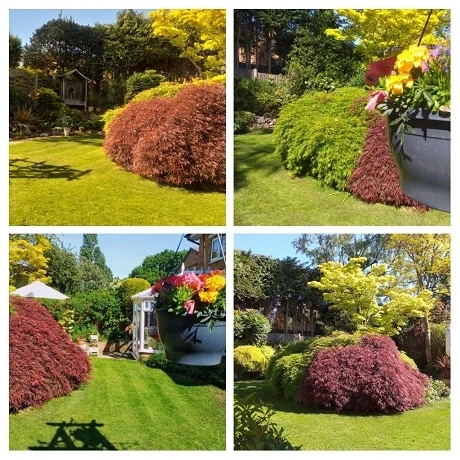 KissMyGrass Year Round Lawn Fertiliser Package