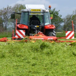 BS Haymaker - 3-5 Yrs Ley Mixture