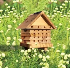 Interactive Solitary Bee Hive