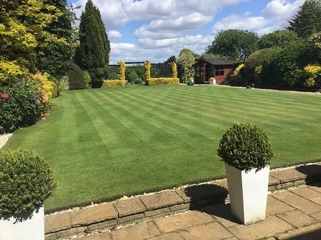 BS Quality Fine Lawn Seed - Image 3