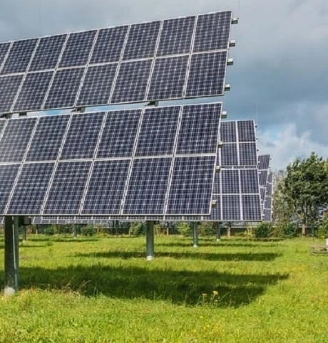 BS Slow Grow And Wildflower Companion Grass Seed - Image 2