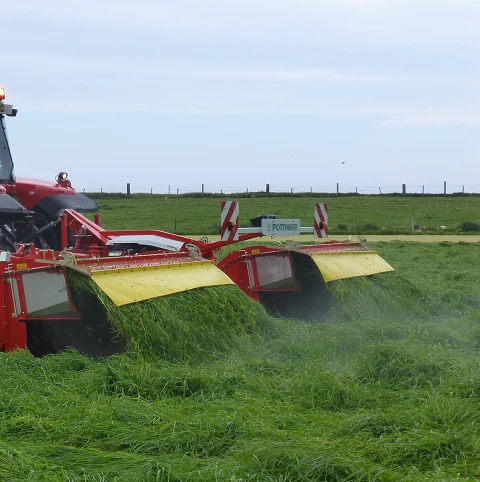 BS Overseeder - Cutting Ley Mixture - Image 2