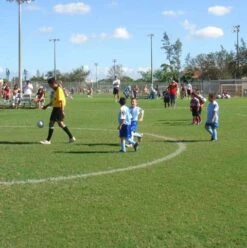 BS Sports And Playing Fields Grass Seed